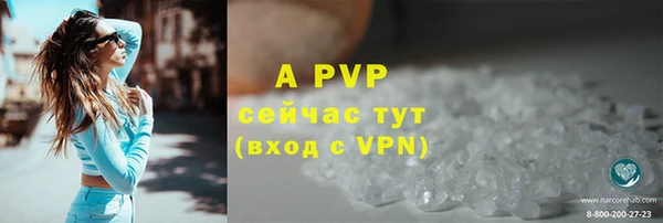 ГАЛЛЮЦИНОГЕННЫЕ ГРИБЫ Покровск