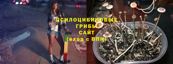 ГАЛЛЮЦИНОГЕННЫЕ ГРИБЫ Покровск