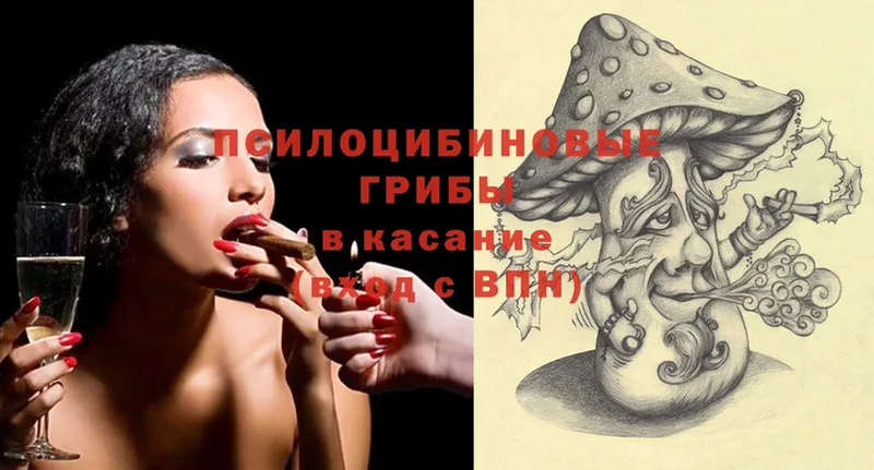 Псилоцибиновые грибы Psilocybe  Рославль 