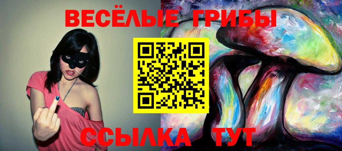 Псилоцибиновые грибы Cubensis Рославль